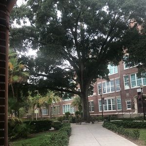 Meet your Posher, Stacy